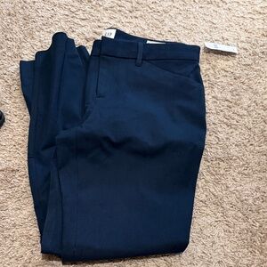 GAP Women's Navy Chinos